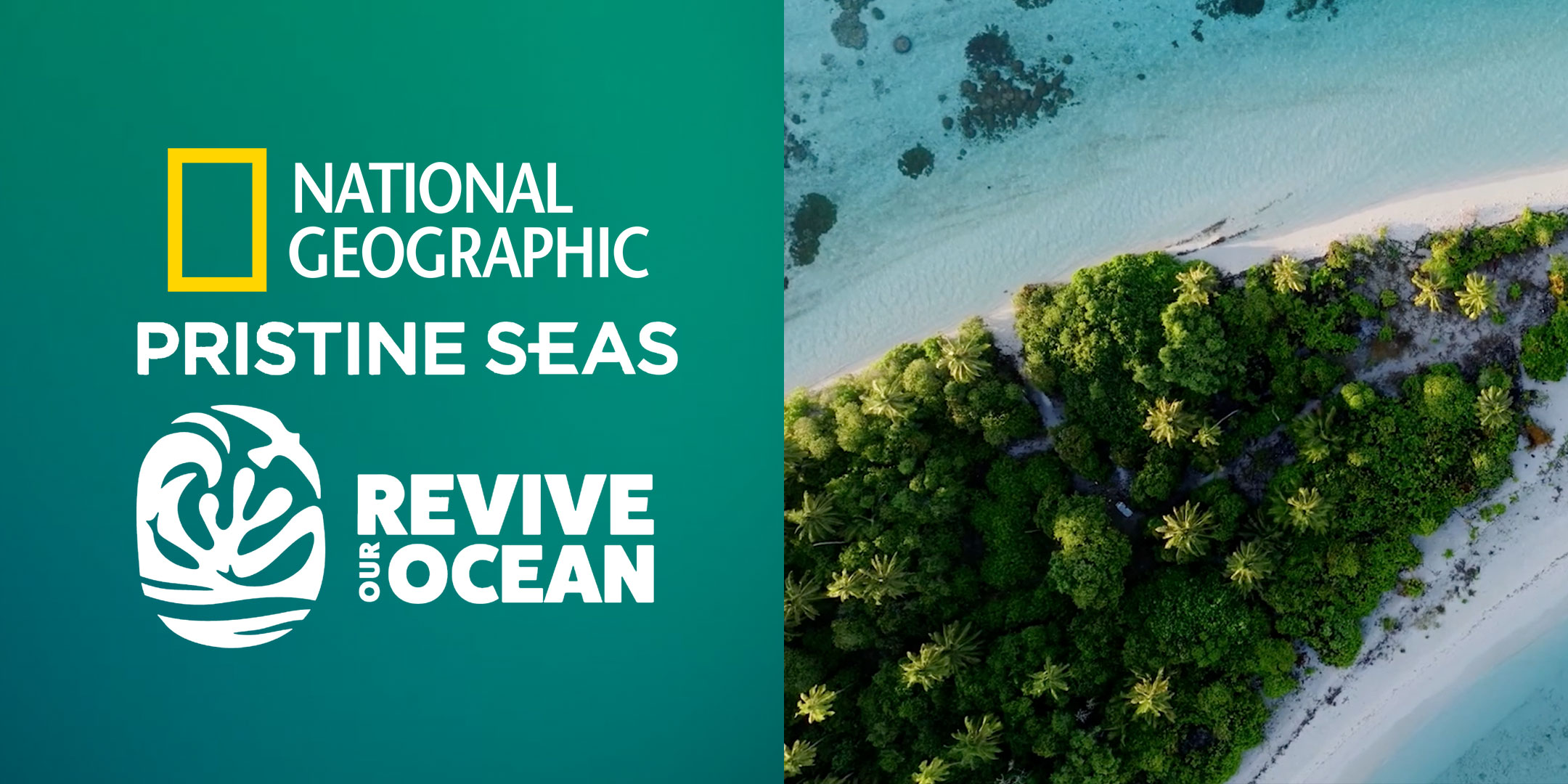 national-geographic-revive-the-ocean-responsive_01