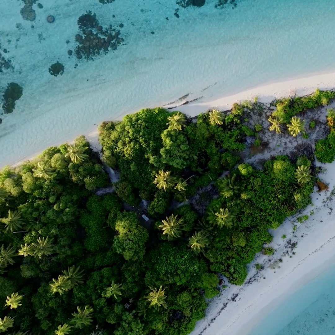 national-geographic-revive-the-ocean_02